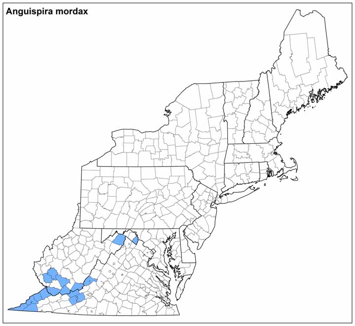 Anguispira mordax Range Map